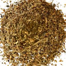 CHÁ DE SABUGUEIRO